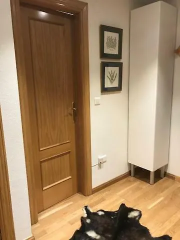 Apartamento Centro! Garaje Y Wifi!!